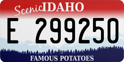 ID license plate E299250
