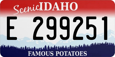 ID license plate E299251