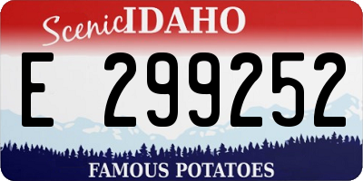 ID license plate E299252