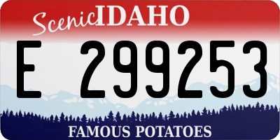 ID license plate E299253