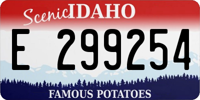 ID license plate E299254