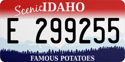 ID license plate E299255