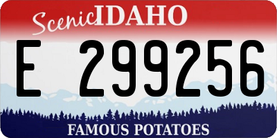 ID license plate E299256