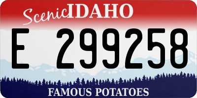 ID license plate E299258