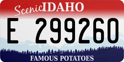 ID license plate E299260