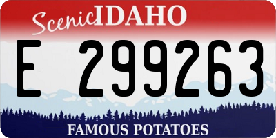 ID license plate E299263