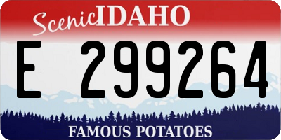 ID license plate E299264