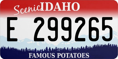 ID license plate E299265
