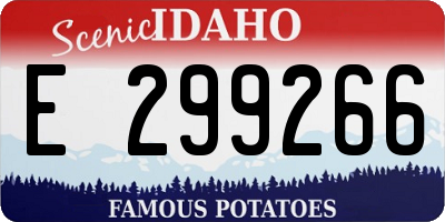 ID license plate E299266