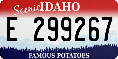 ID license plate E299267