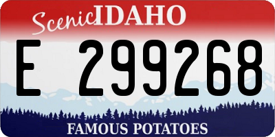 ID license plate E299268