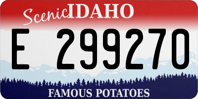 ID license plate E299270