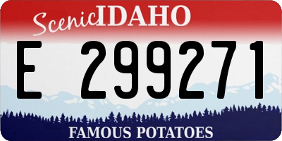 ID license plate E299271