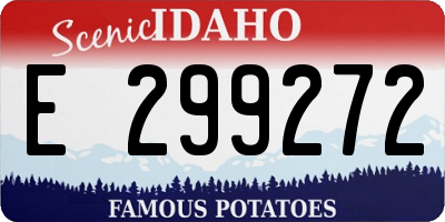 ID license plate E299272