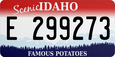 ID license plate E299273