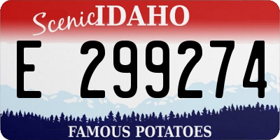 ID license plate E299274