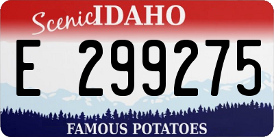 ID license plate E299275