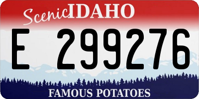 ID license plate E299276