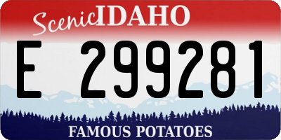 ID license plate E299281