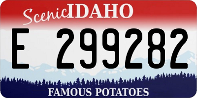 ID license plate E299282