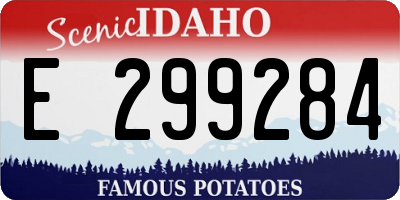 ID license plate E299284