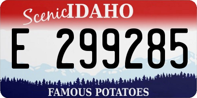 ID license plate E299285