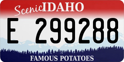 ID license plate E299288