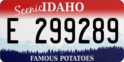 ID license plate E299289