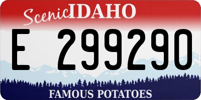 ID license plate E299290