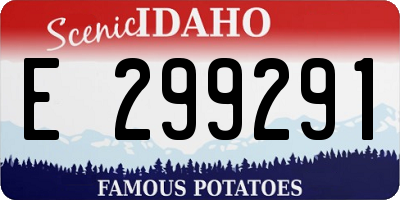 ID license plate E299291