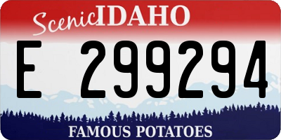 ID license plate E299294