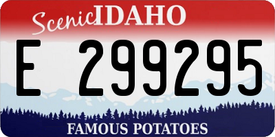 ID license plate E299295