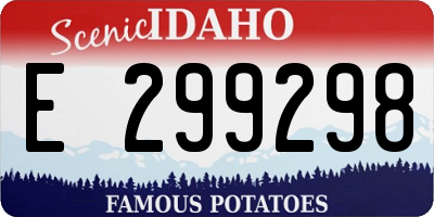 ID license plate E299298