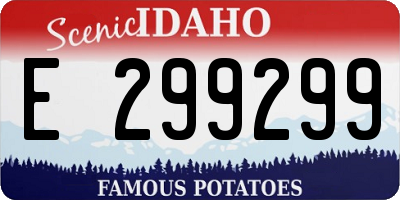ID license plate E299299