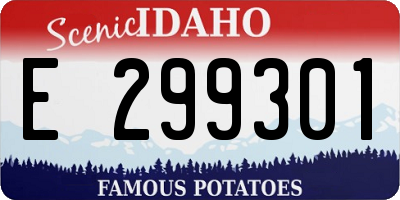 ID license plate E299301