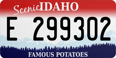 ID license plate E299302