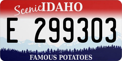 ID license plate E299303