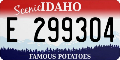 ID license plate E299304