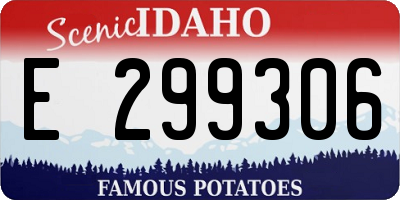 ID license plate E299306