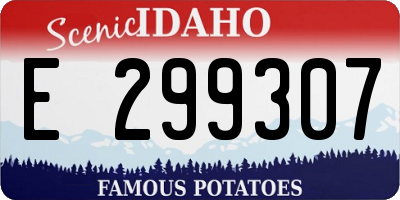 ID license plate E299307