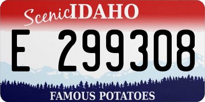 ID license plate E299308