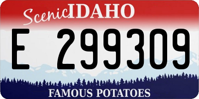 ID license plate E299309