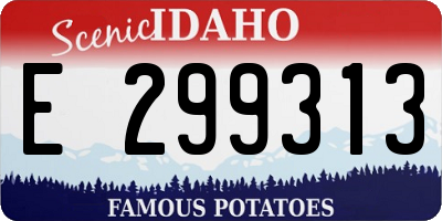 ID license plate E299313