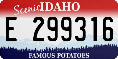 ID license plate E299316