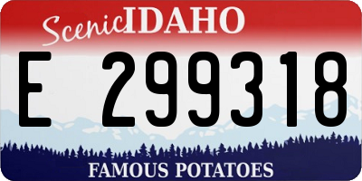 ID license plate E299318