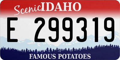 ID license plate E299319