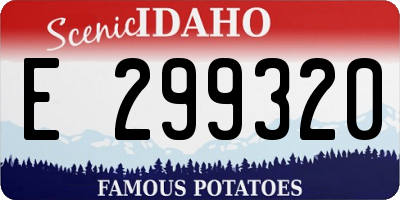 ID license plate E299320
