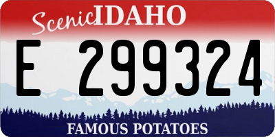 ID license plate E299324