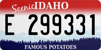 ID license plate E299331