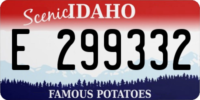 ID license plate E299332